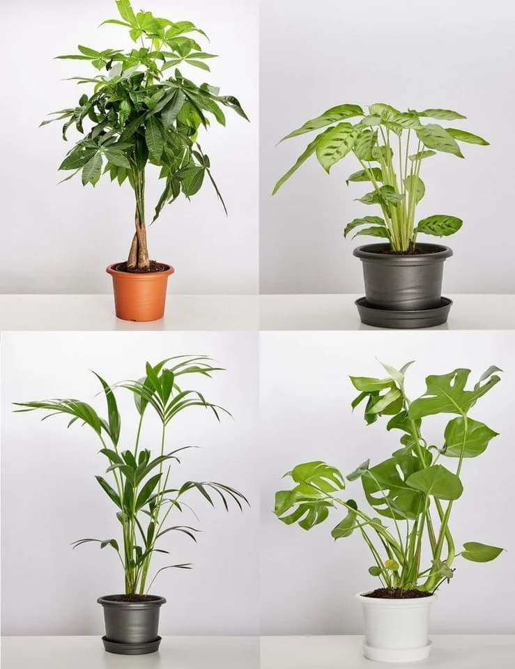 Garronda Blumentopf Set 3er Pack Grau Kunststoff - Bild 4