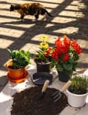 Garronda Blumentopfuntersetzer rund 16-34 cm Bild 5