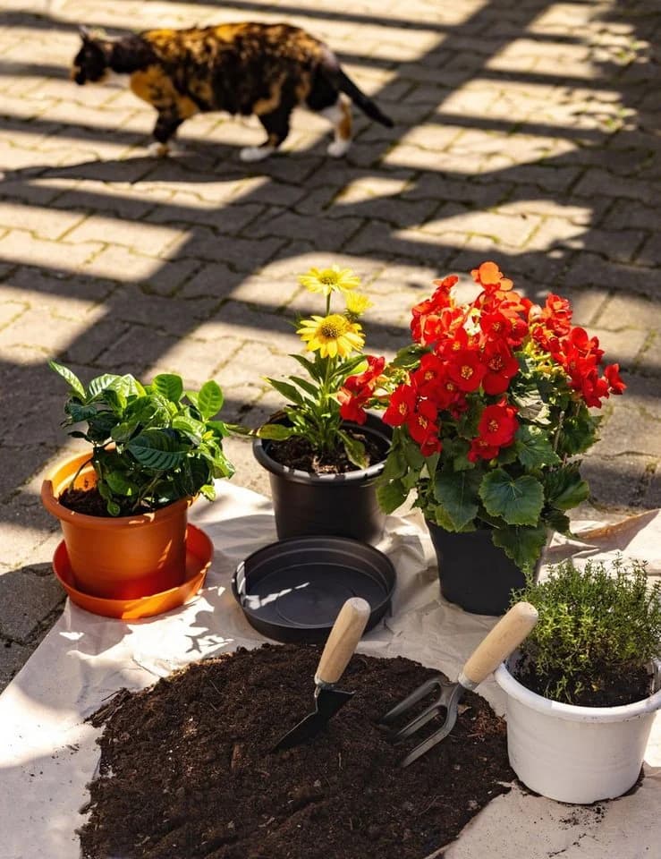 Garronda Blumentopfuntersetzer rund 16-34 cm - Bild 5