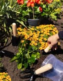Garronda Blumentopf Transparent 10er Pack Klassisch Bild 3