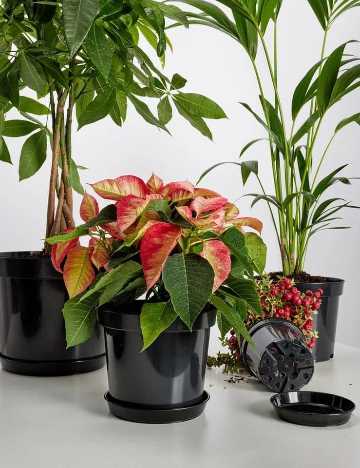 Garronda Blumentopf Kunststoff Rund Schwarz 20er Set - Bild 5