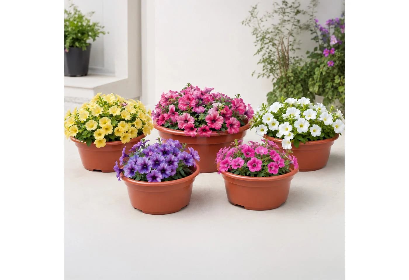 Garronda Blumentopf rund Pflanzschale Kunststoff mit Drainage GD-0207A - Bild 4