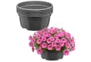 Garronda Blumentopf rund Pflanzschale Kunststoff grau mit Drainage (5 St.) Bild 2