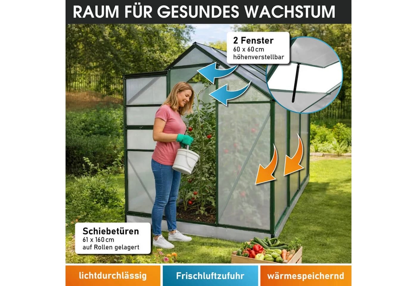BRAST Gewächshaus ALU mit Fundament rostfrei 250x190x195cm TÜV geprüft - Bild 5
