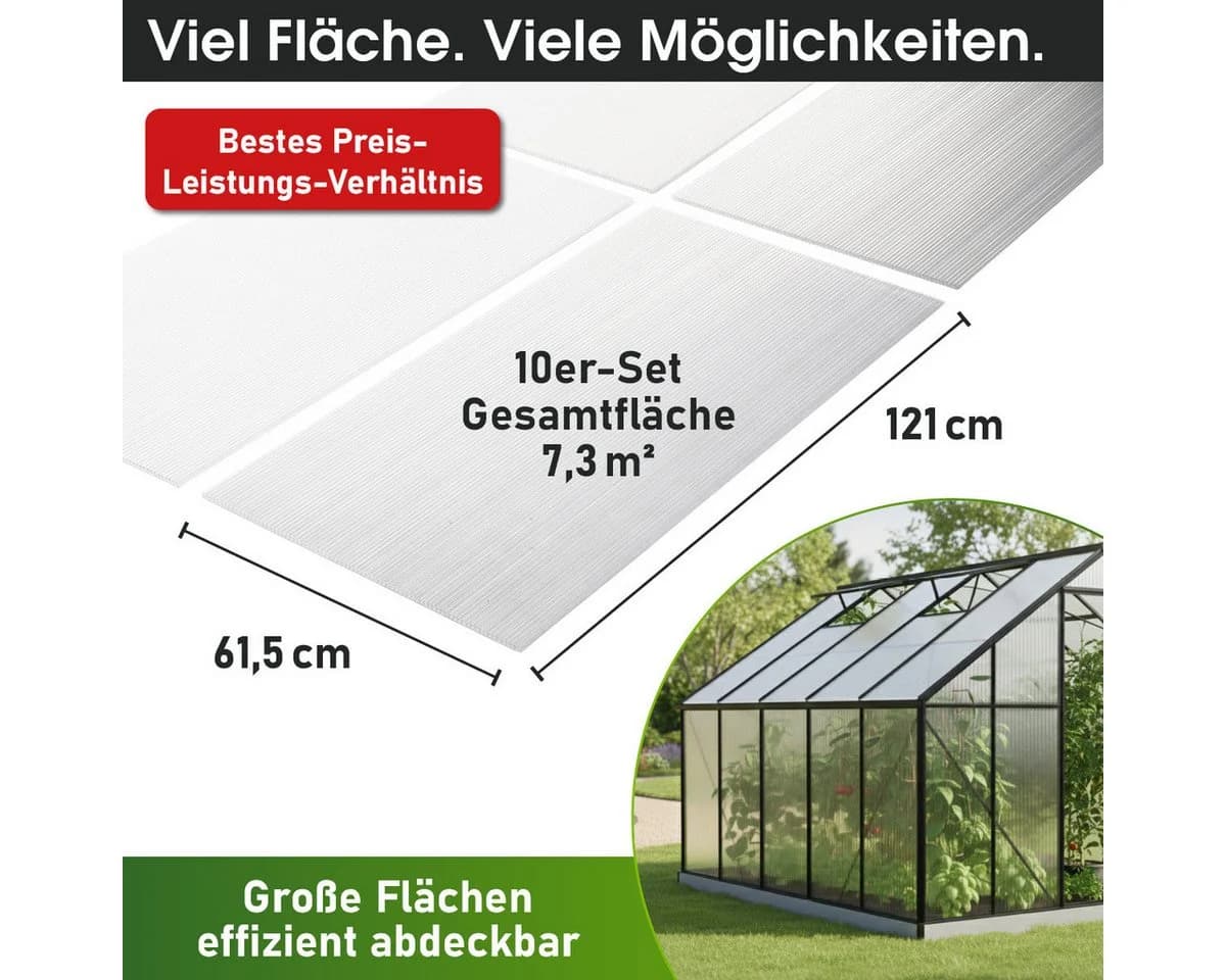 BRAST Doppelstegplatte Hohlkammerplatten 6mm Polycarbonat