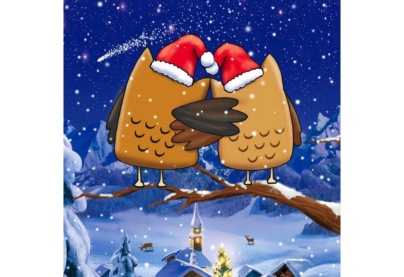 Leonado Vicenti Bettwäsche Winter Fleece 2-tlg. Braun Eulenpaar - Bild 3