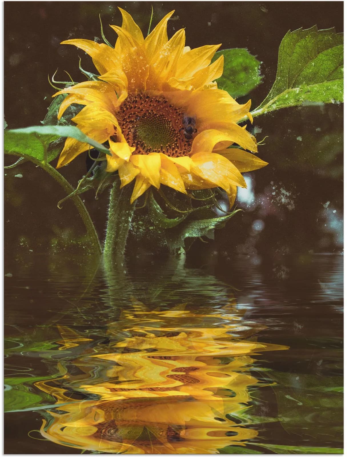 ARTLAND Alu-Dibond-Druck Sonnenblume Gelb Wandbild