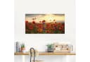Artland Glasbild Mohnblumen Bild 1