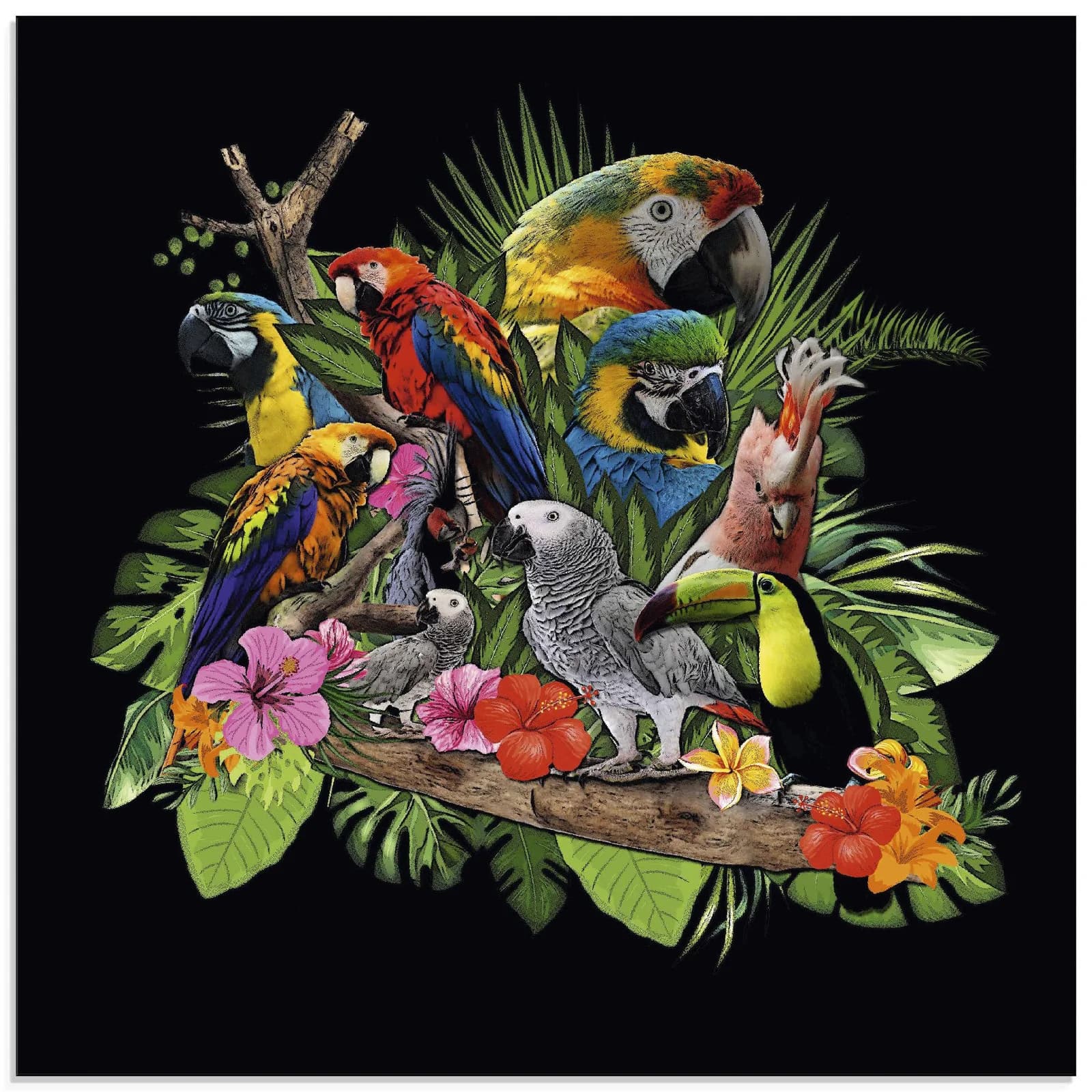 ARTLAND Glasbild Papageien Graupapagei Kakadu Dschungel Bunt 50x50 cm