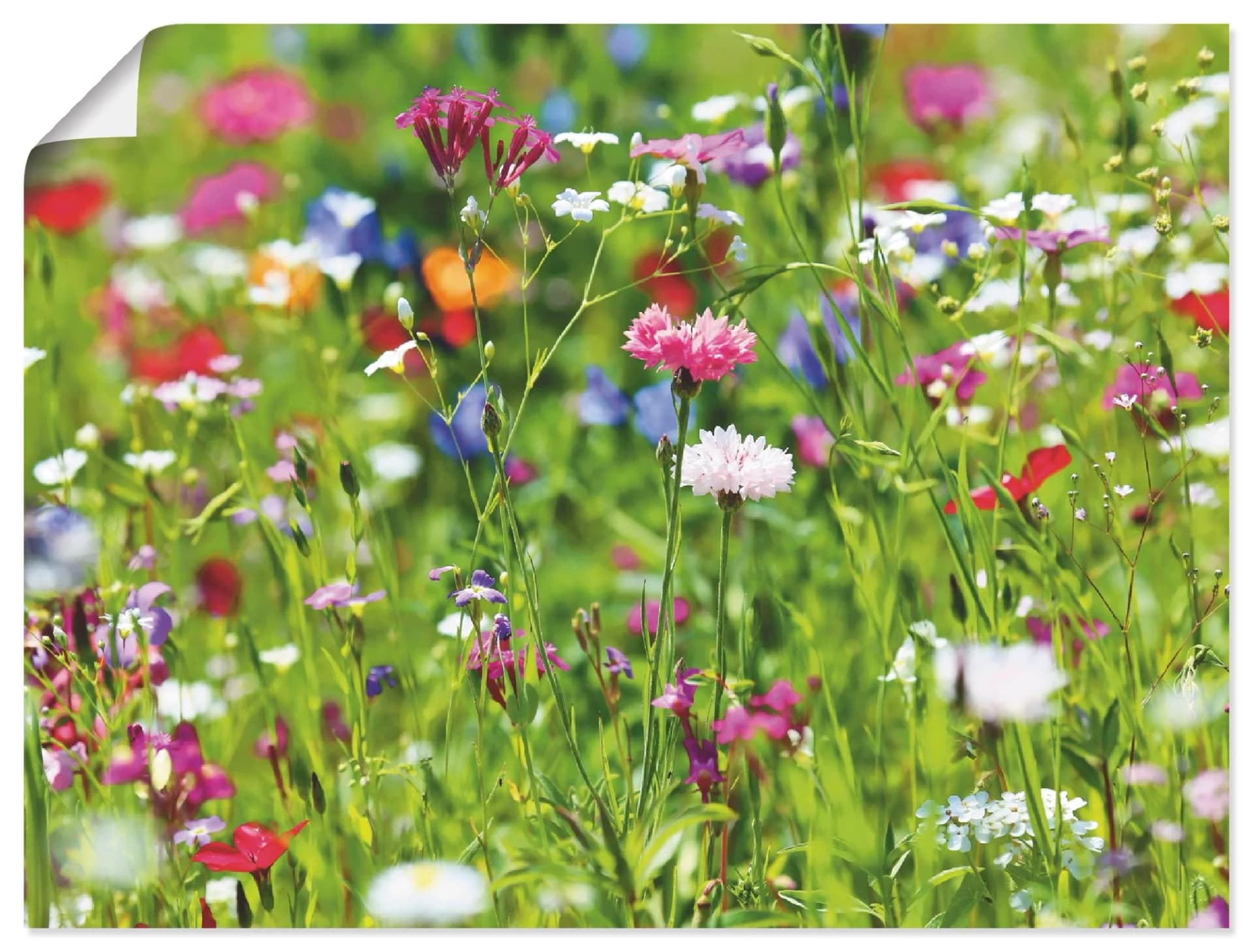 ARTLAND Wandbild Blumenwiese I Grün Leinwand Poster