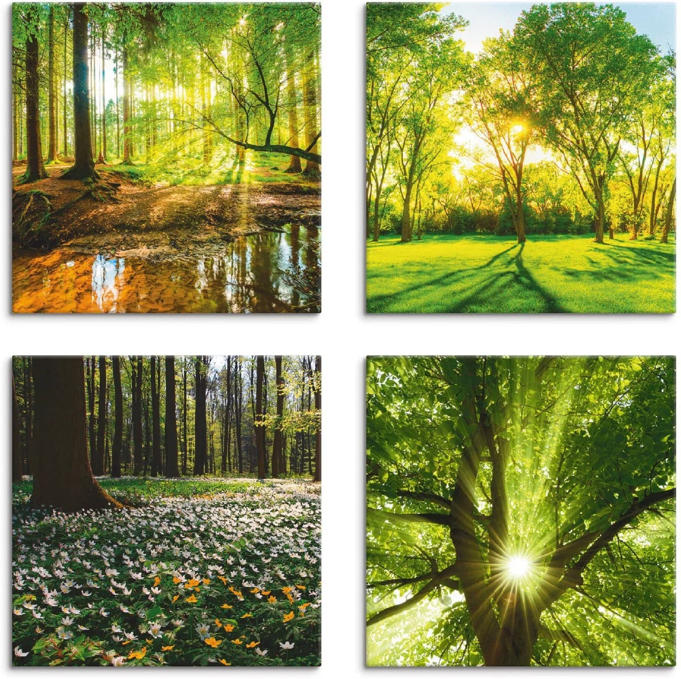 Artland Leinwandbild Set Wald 4-tlg. Grün Naturmotiv - Bild 2