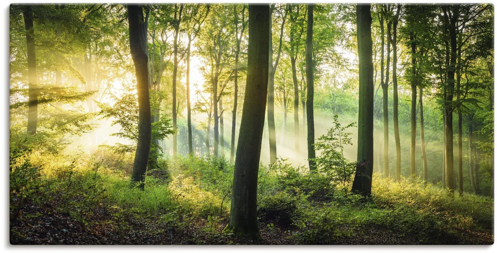 ARTLAND Wandbild Herbst im Wald II Grün Leinwandbild