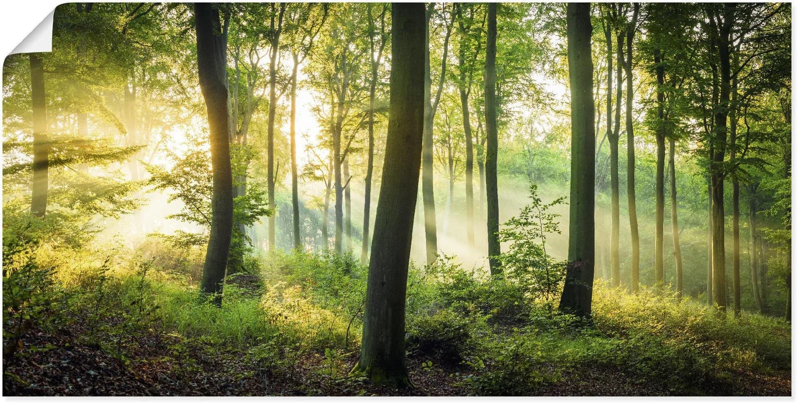 ARTLAND Wandbild Herbst im Wald II Grün Poster Leinwand Alubild