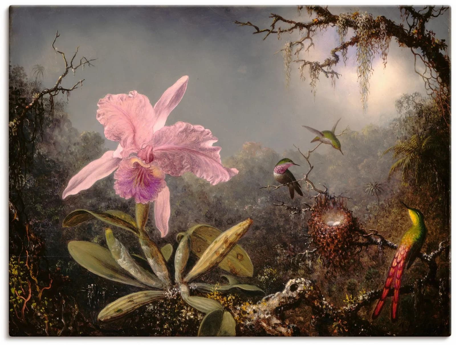 ARTLAND Leinwandbild Cattleya Orchidee und Kolibris Beige
