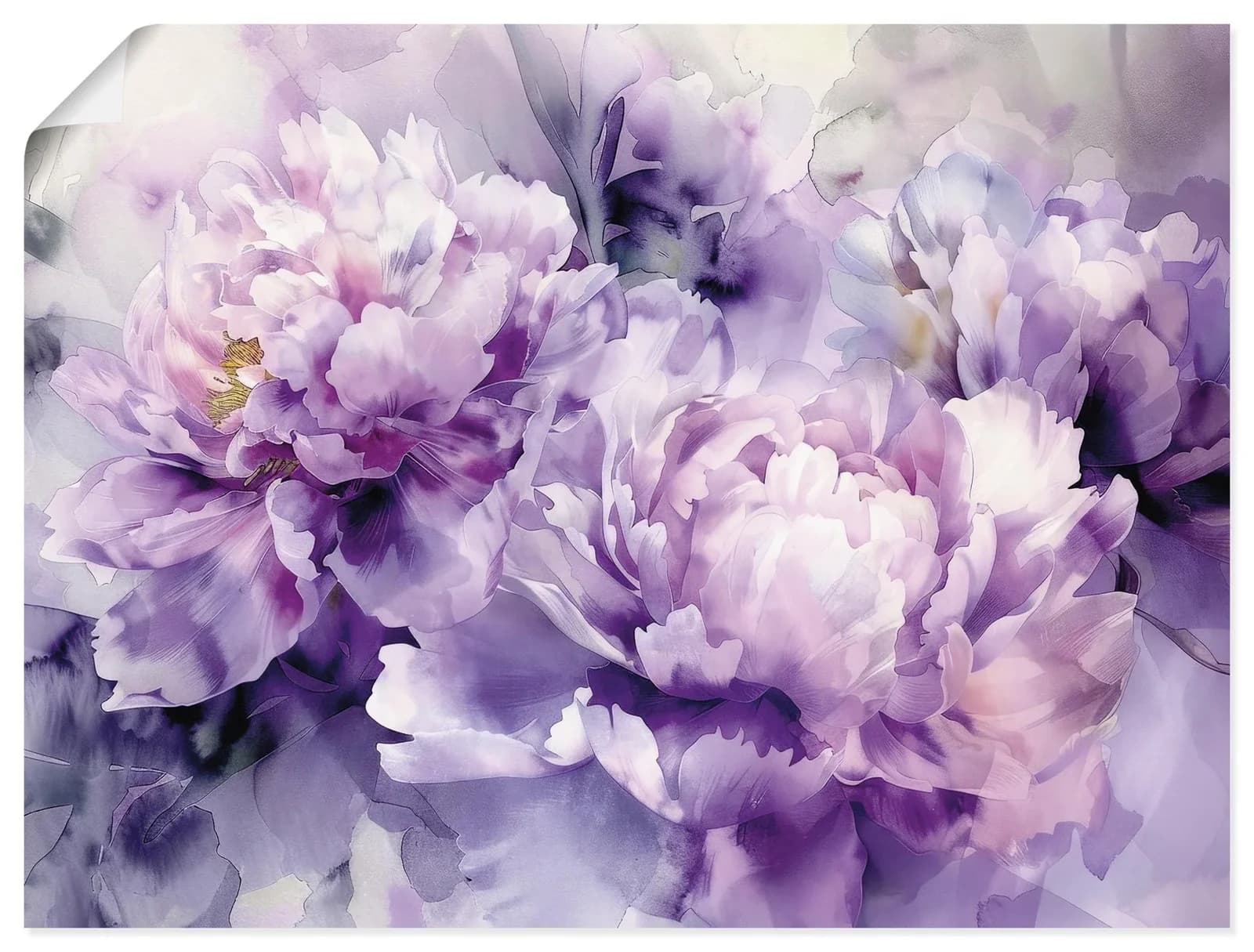 Artland Wandbild Lila Pfingstrosen Aquarell