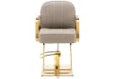Physa Friseurstuhl Staunton Beige/Gold mit Fußstütze und Höhenverstellung Bild 5