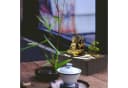 Lemodo Zimmerbrunnen mit Zen-Garten, LED-Beleuchtung & Pumpe Grau Bild 5