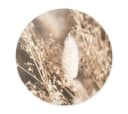 K&L Wall Art Poster Rund Floral Landhaus Deko Bild 1