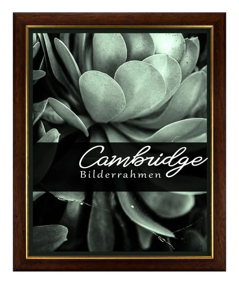 Bilderrahmen Cambridge Nussbaum Gold Massivholz 24x30 cm - Bild 2
