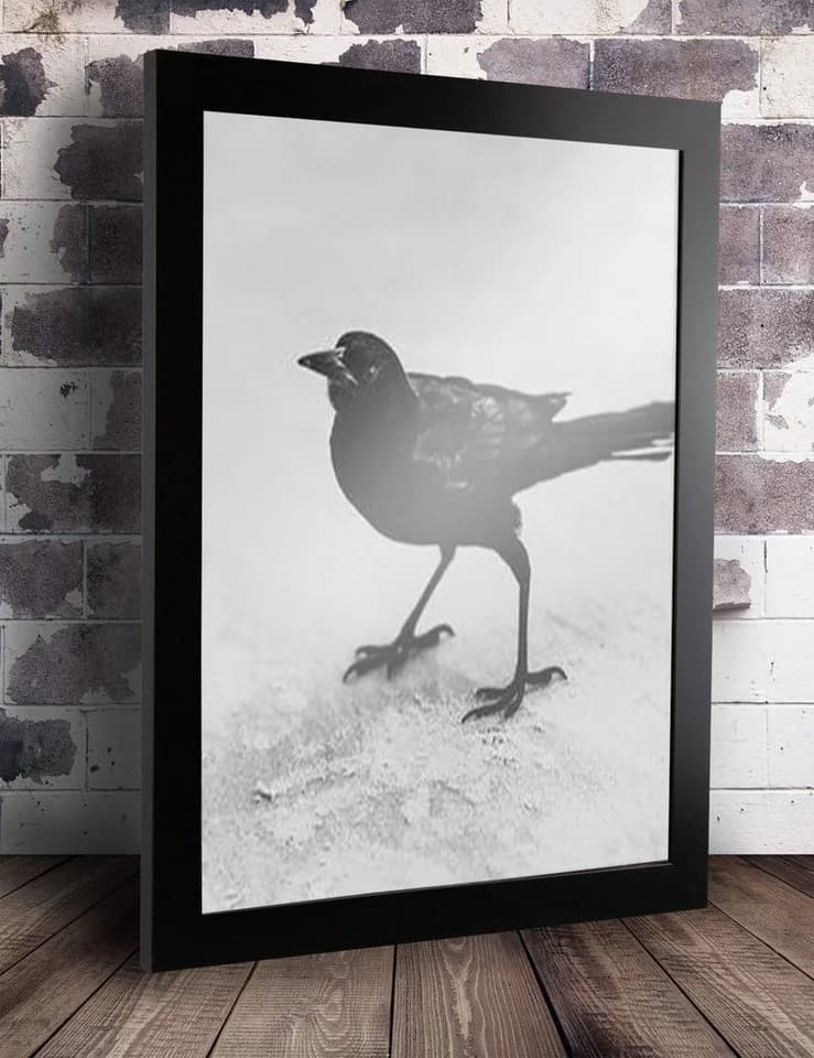 Bilderrahmen Bern Schwarz Matt MDF 50x75 cm Modern