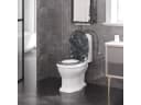 Woltu WC-Sitz Schwarz mit Absenkautomatik und Metallscharnieren Bild 4