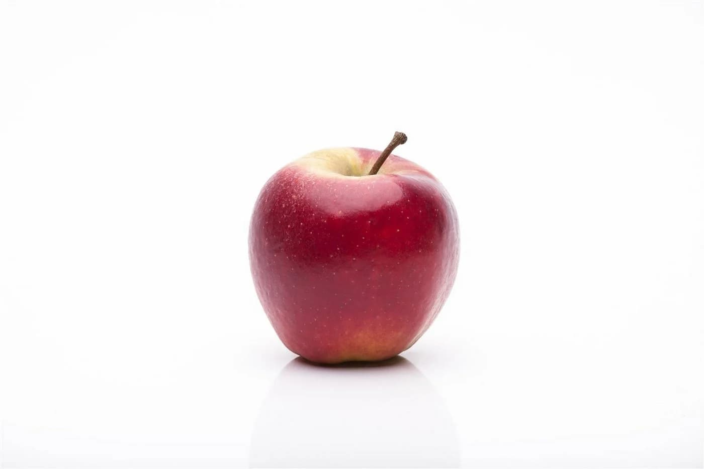 Malus 'Elstar' Apfelbaum 150–200 cm - Bild 5