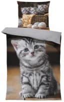 One Home Bettwäsche Little Kitty Mikrofaser 2-teilig mit Katzenwelpen Bild 2