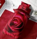 One Home Bettwäsche Rose amour Mikrofaser 2-teilig Rote Rosen Bordeaux Bild 4