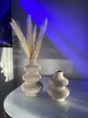 Intirilife Pampasgras 30 Stück Weiß Trockenblume Deko Bild 5