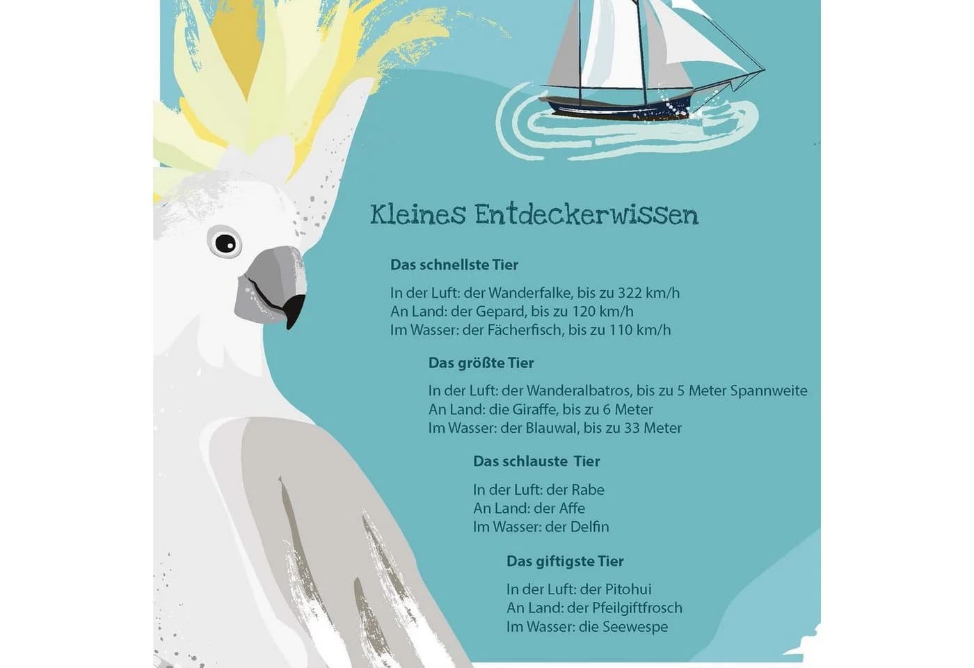 Close Up KinderWeltkarte XL Poster Unsere große bunte Welt 91,5 x 61 - Bild 5