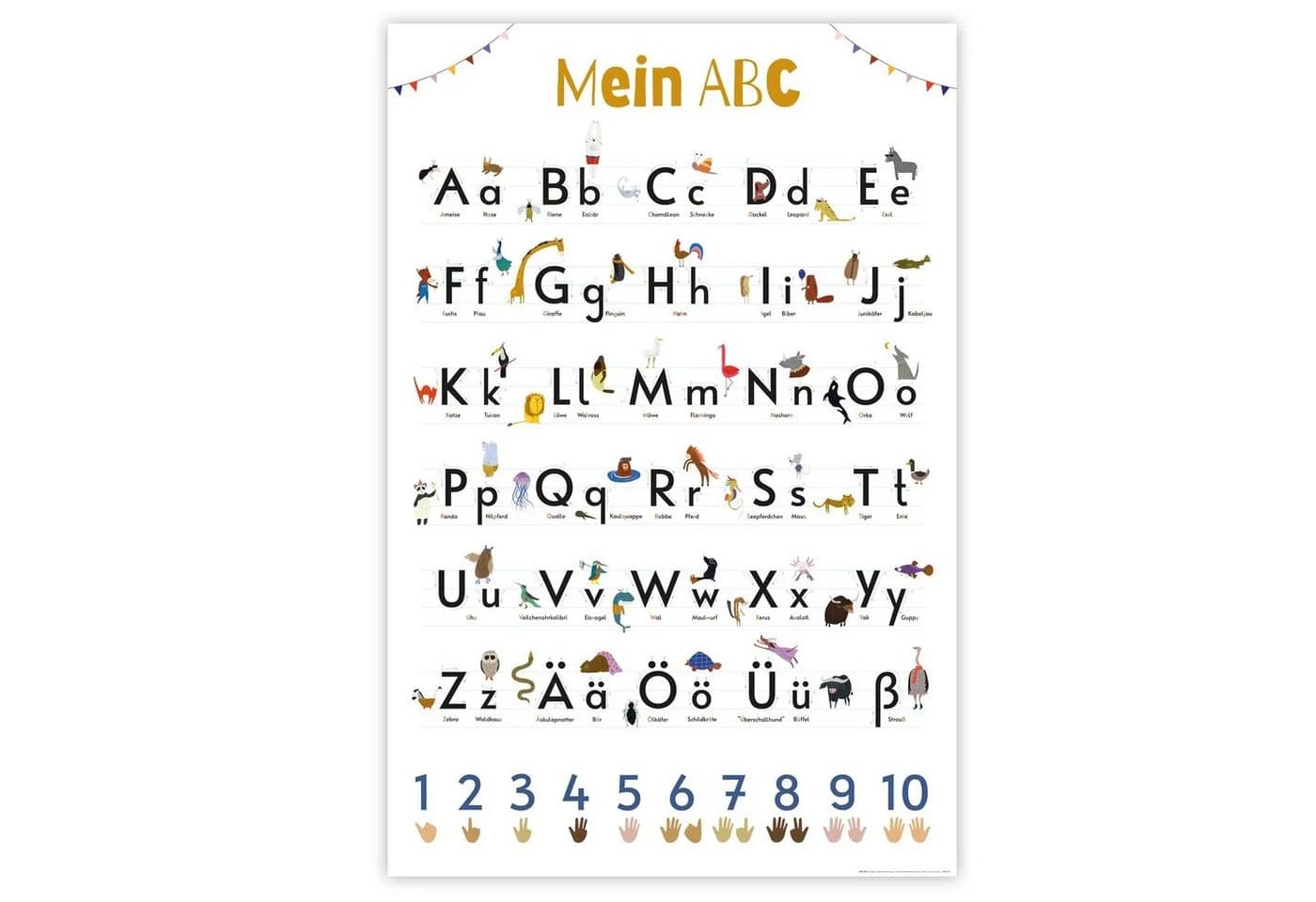Close Up ABC Poster Bunt auf 170g Papier 61x91,5 cm - Bild 2