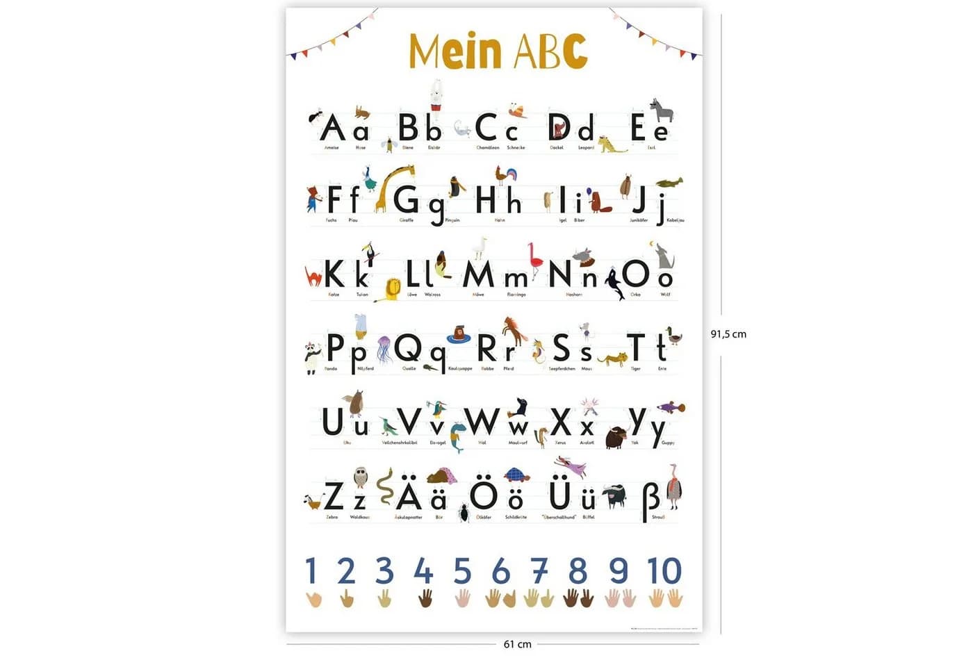Close Up ABC Poster Bunt auf 170g Papier 61x91,5 cm - Bild 5