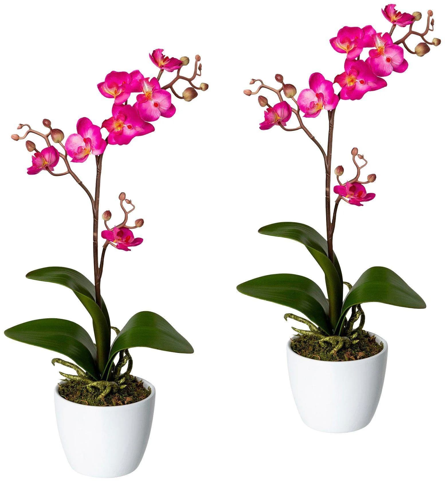 Creativ green Kunstpflanze Orchidee Phalaenopsis Rosa im Keramiktopf