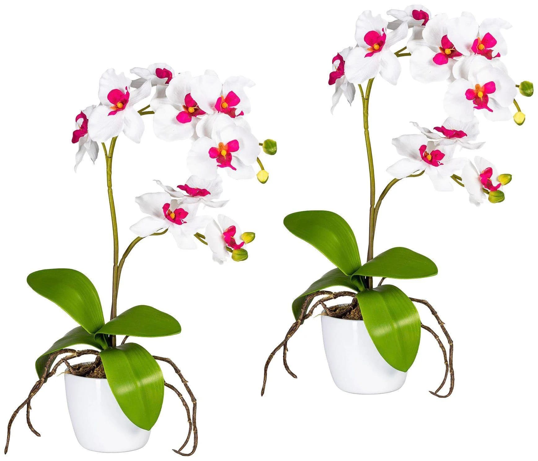 Creativ Green Kunstorchidee Phalaenopsis Rosa mit Keramiktopf