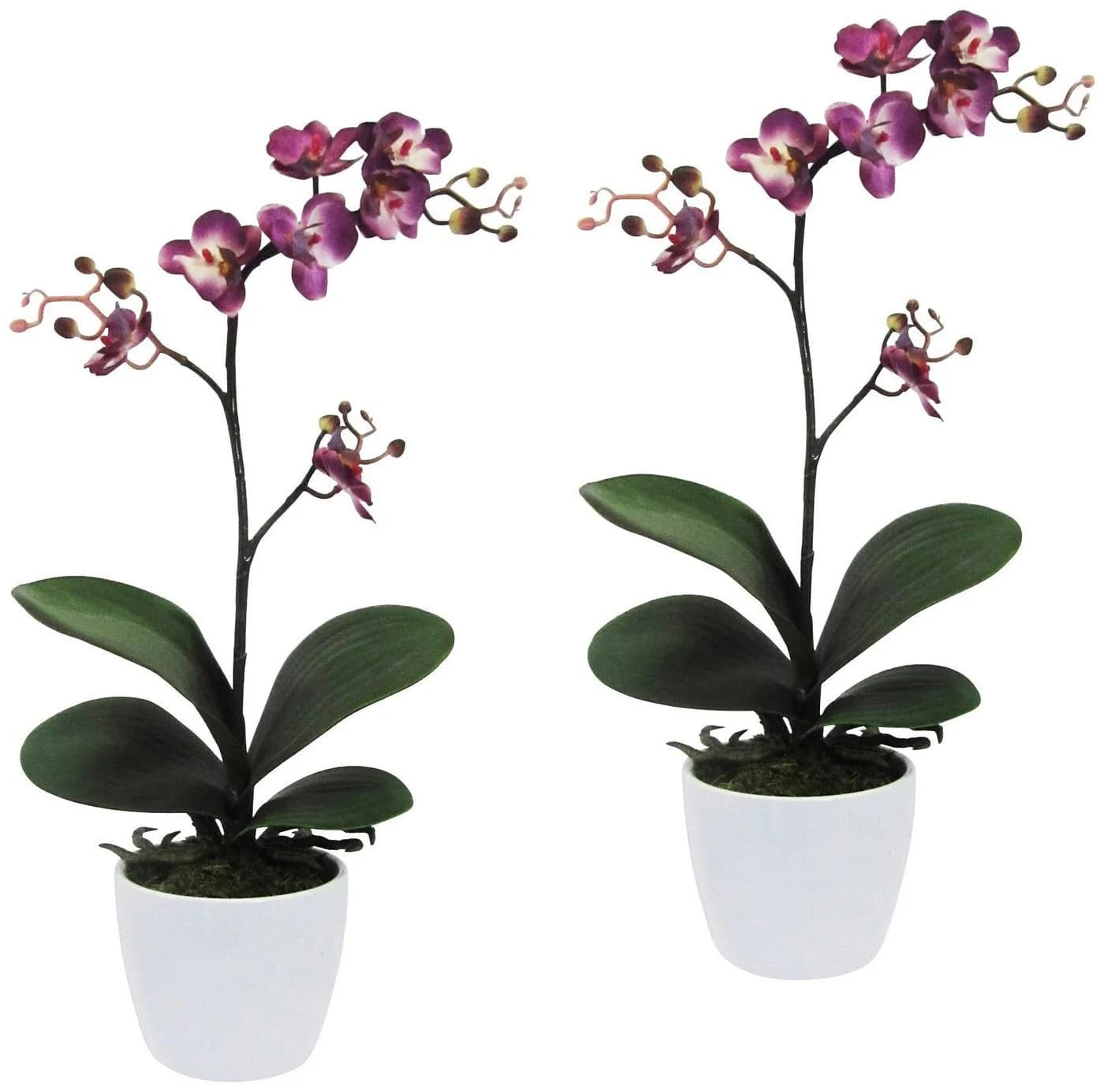 Creativ green Kunstpflanze Orchidee Phalaenopsis Lila 55cm