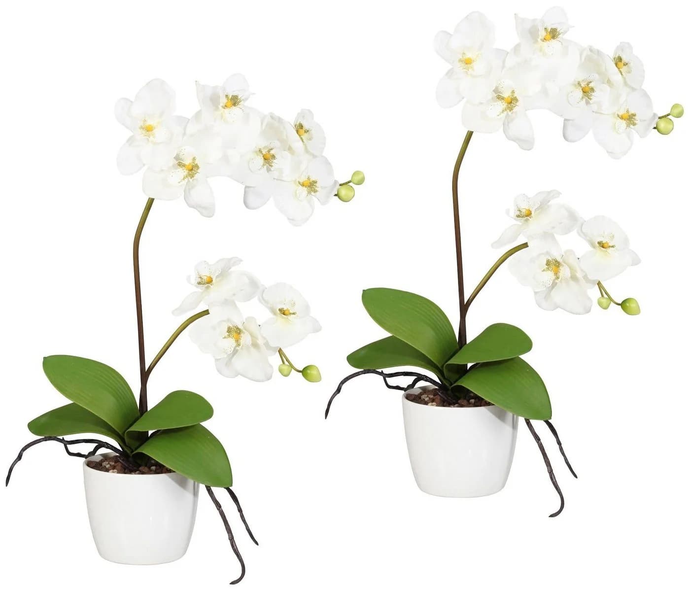 Creativ green Kunstpflanze Orchidee Phalaenopsis Weiß Grün Keramiktopf