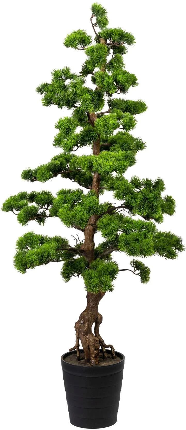 CREATIV GREEN Kunstbonsai Kiefer Grün 140cm