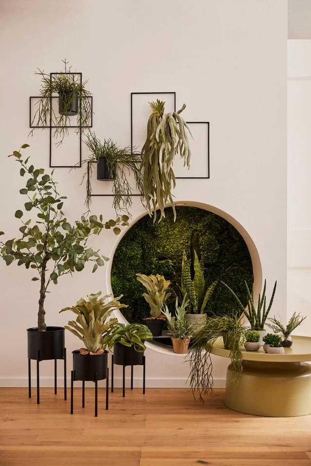 Creativ Green Kunstpflanze Tillandsie Grau Grün Deko