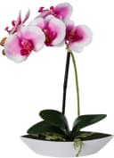 Creativ Green Kunstorchidee Phalaenopsis 2er Set Lila/Weiß Bild 1
