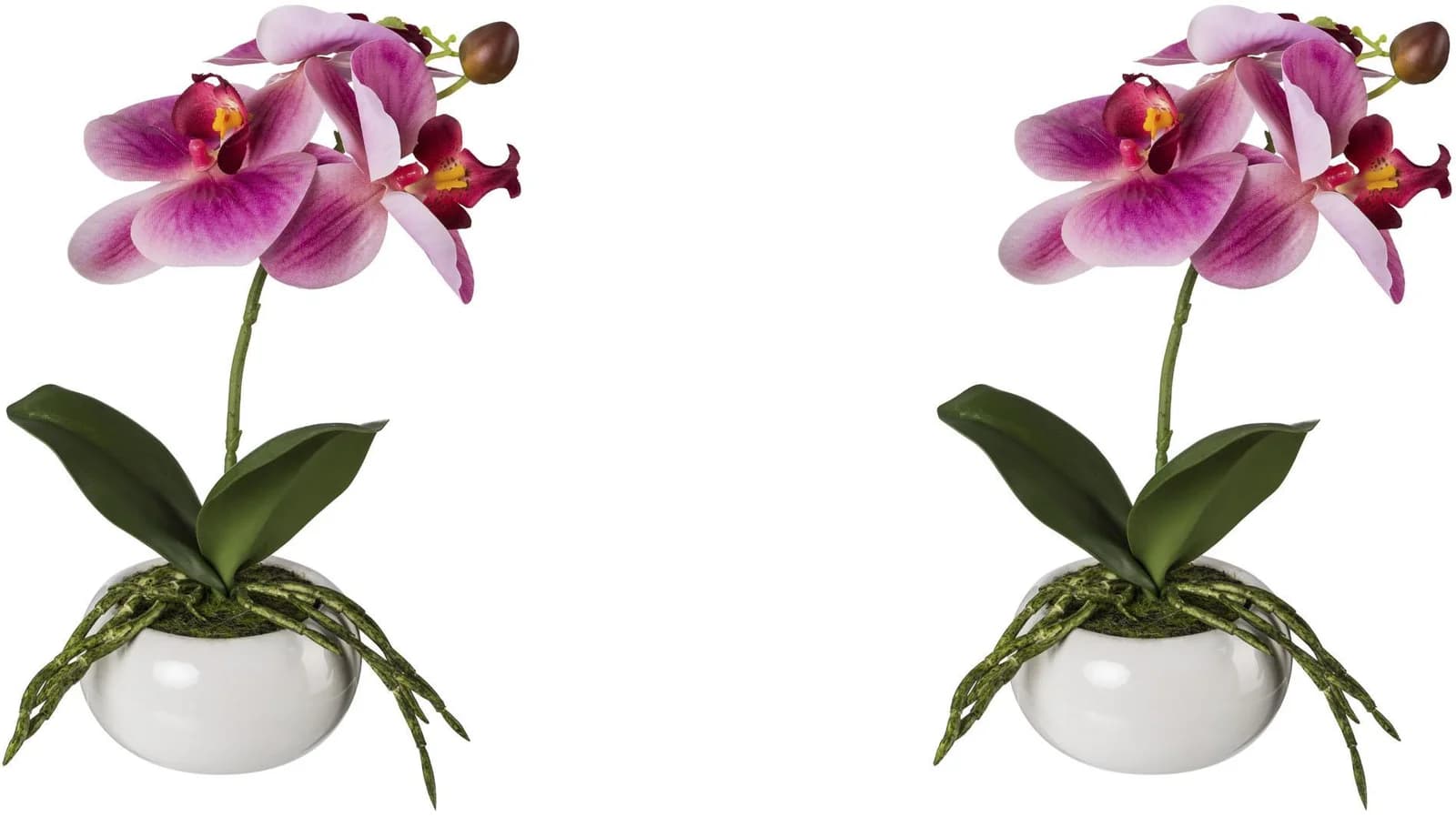 CREATIV GREEN Kunstorchidee Phalaenopsis in Keramikschale Fuchsia/Weiß