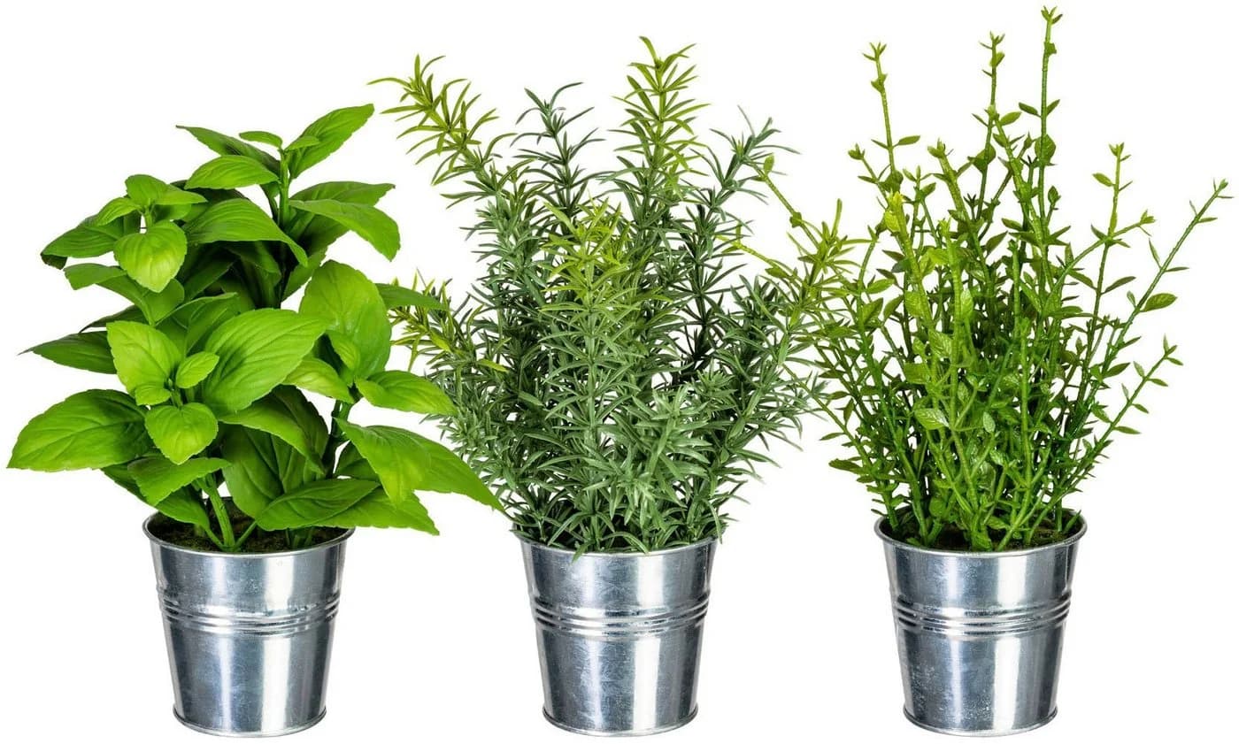 Kunstpflanze Kräutermix im Zinktopf 3er Set Creativ green - Bild 2