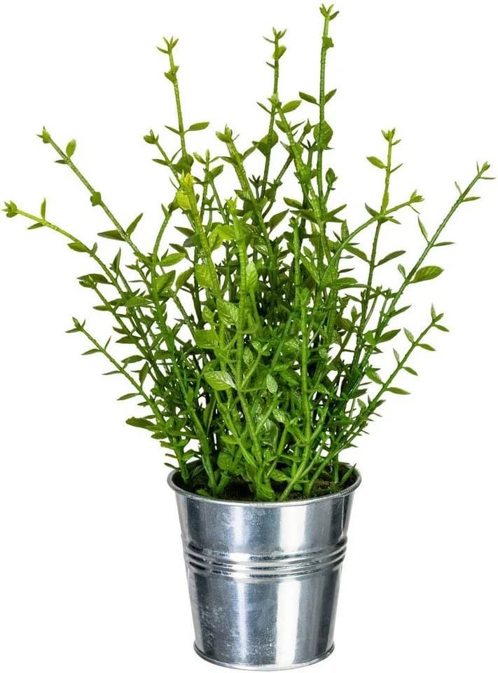 Kunstpflanze Kräutermix im Zinktopf 3er Set Creativ green - Bild 4