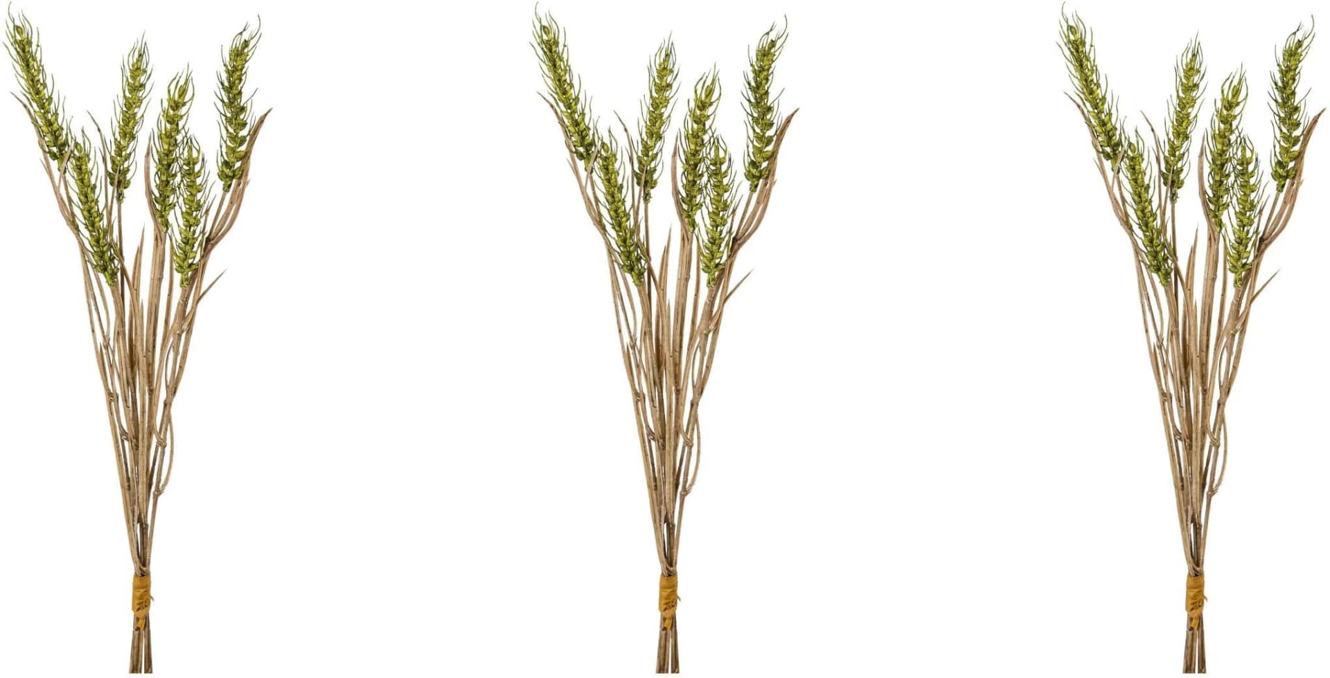 Creativ Green Ährenbund Kunstzweig Beige Creme 3er Set