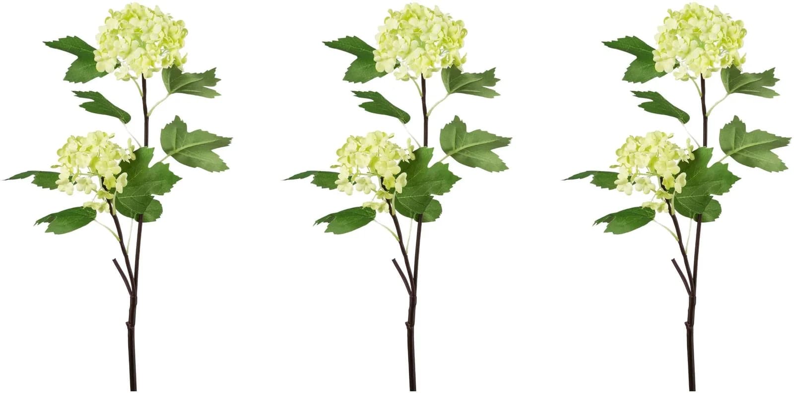 Creativ Green Schneeballzweig Kunstblume Weiß 3er Set