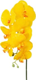 CREATIV GREEN Kunstorchidee Phalaenopsis 3er Set Gelb Bild 2