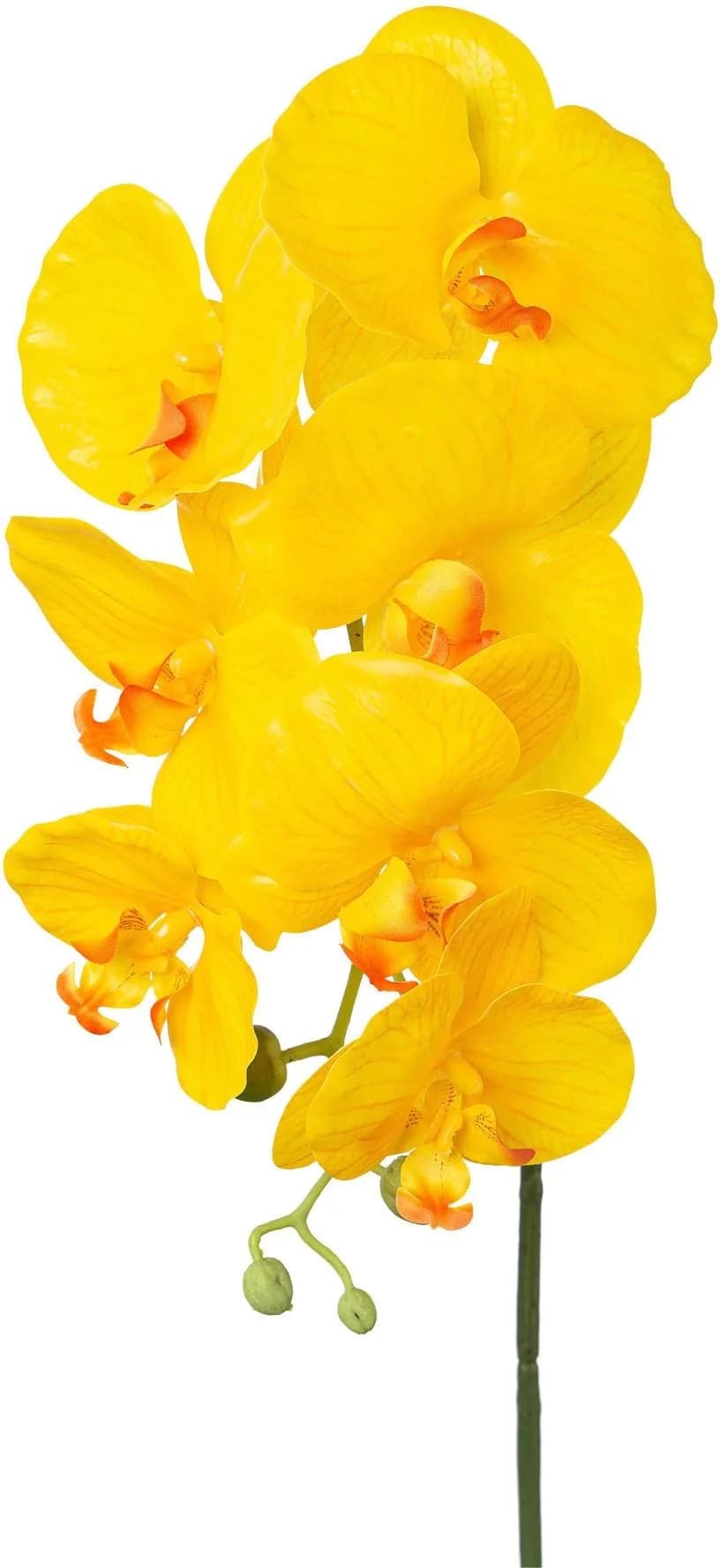 CREATIV GREEN Kunstorchidee Phalaenopsis 3er Set Gelb - Bild 3