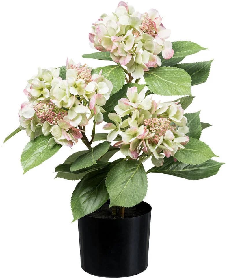 Kunstpflanze Hortensienbusch Grünrosa 53 cm Creativ green