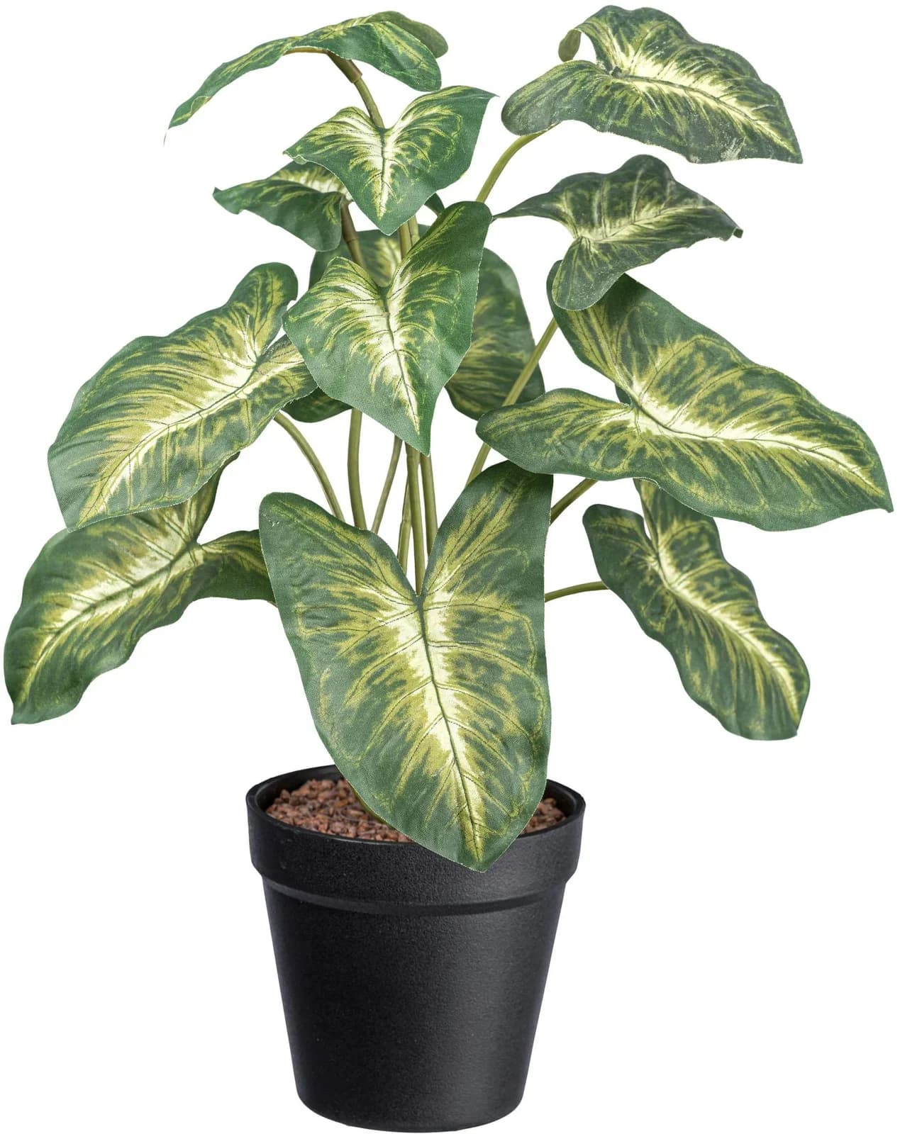Künstliche Zimmerpflanze CREATIV GREEN Syngonium Pixie Grüngelbe Blätter