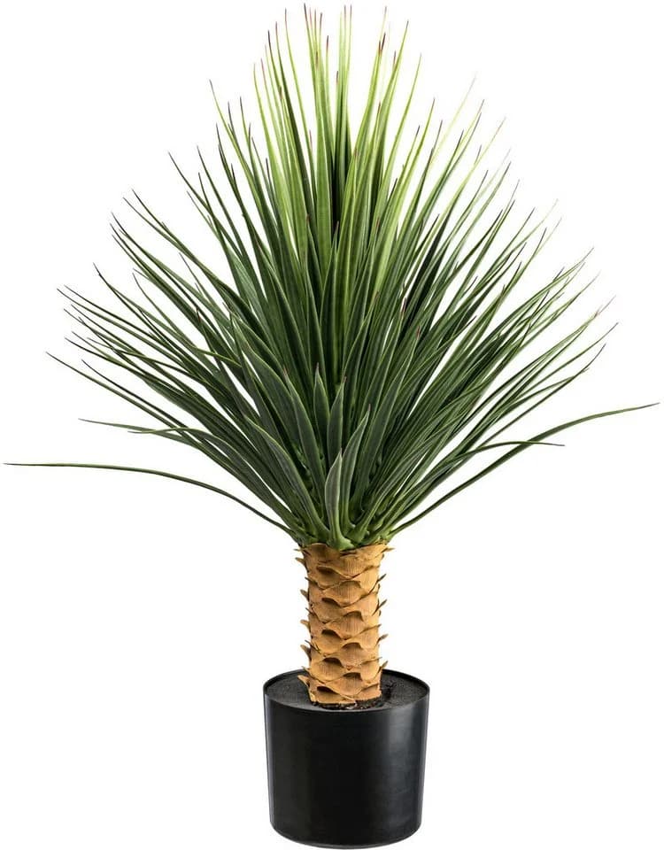 Kunstpflanze Yucca Rostrata Creativ green 85 cm