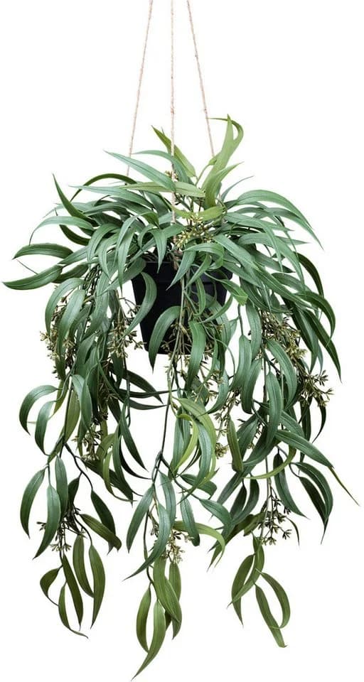 Kunstpflanze Eukalyptus Globolus Creativ Green mit Fruchtblüten